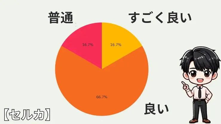 セルカ 評判